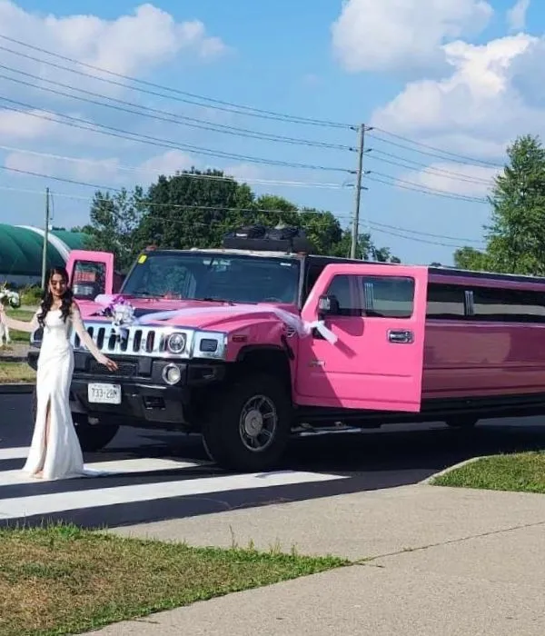 Hamilton Limousine Service